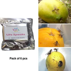6 pcs of Made in India O-Mat Lure for Fruits Fly